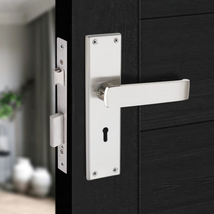 SS mortise handle set on door