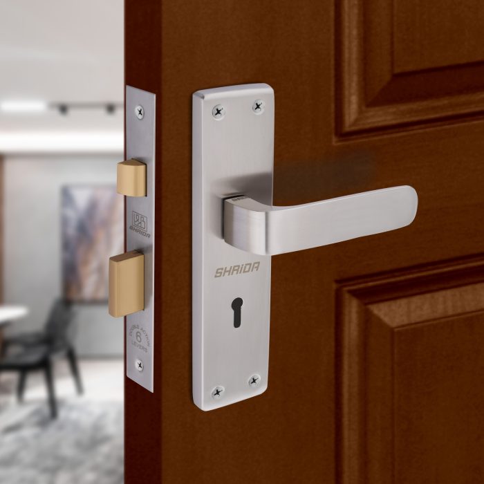 Shrida 550 Iron Mortise Handle and Lock Set