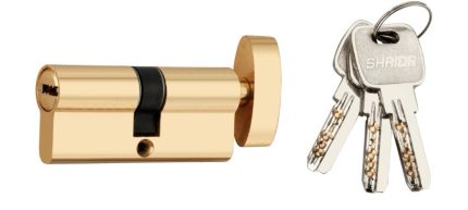 Shrida Brass 60 mm Pin Cylinder Lock