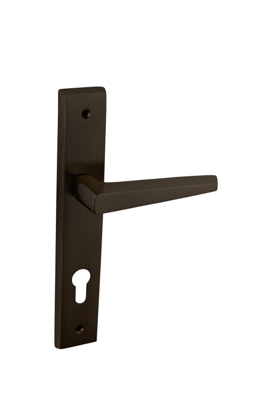 Indobrass STYLISH Mortise Door Handle