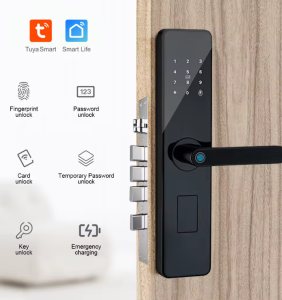 TAM-DL-SECURA biometric locks - home digital door locks in india
