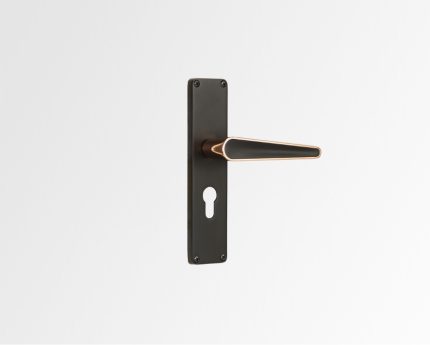 Godrej Mortise Door Handle Lock I NEH 19-1 CK I Matte Black Rose Finish