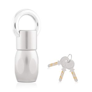 Godrej Padlock Silver | Alloy Steel