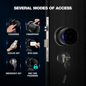 Ozone oracle door smart lock/locks with rose plate black price