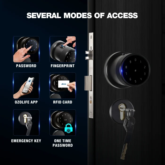 Ozone oracle door smart lock/locks with rose plate black price