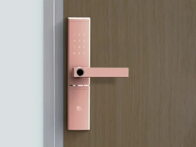 Electronic Locks for Doors