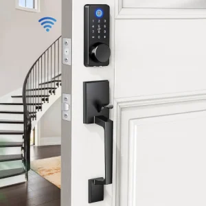 WiFi lock
