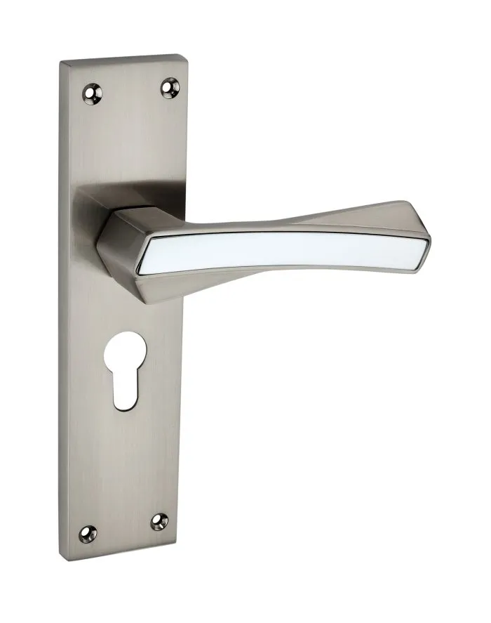 Georgia Model No.110 Mortise Door Handle Set With Cy/Ky Lock Set
