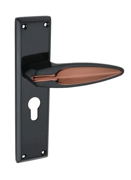 Georgia Mortise Door Handle Set With Cy/Ky Lock (Model-Leaf)